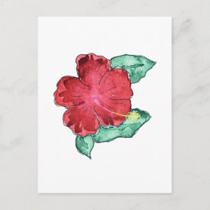 Hibiscus Postcard