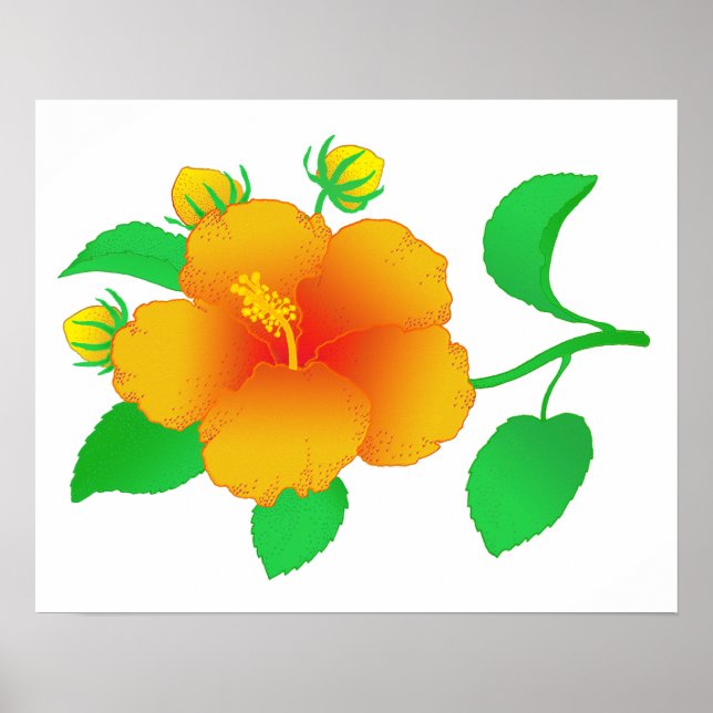 Hibiscus Poster (Front)