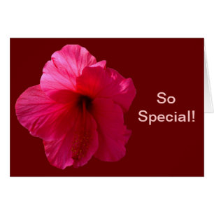 Hibiscus rose