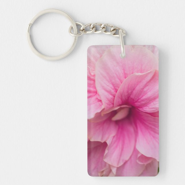 Hibiscus rose (Devant)