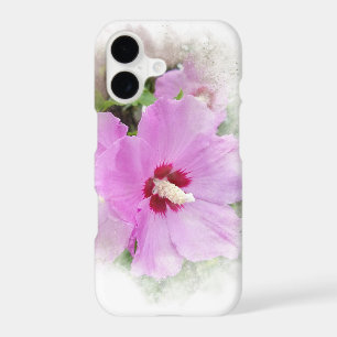 Hibiscus rose