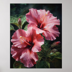 Hibiscus rose Fleurs Art Imprimer Poster