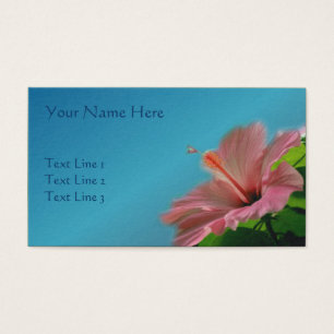 Hibiscus rose nature