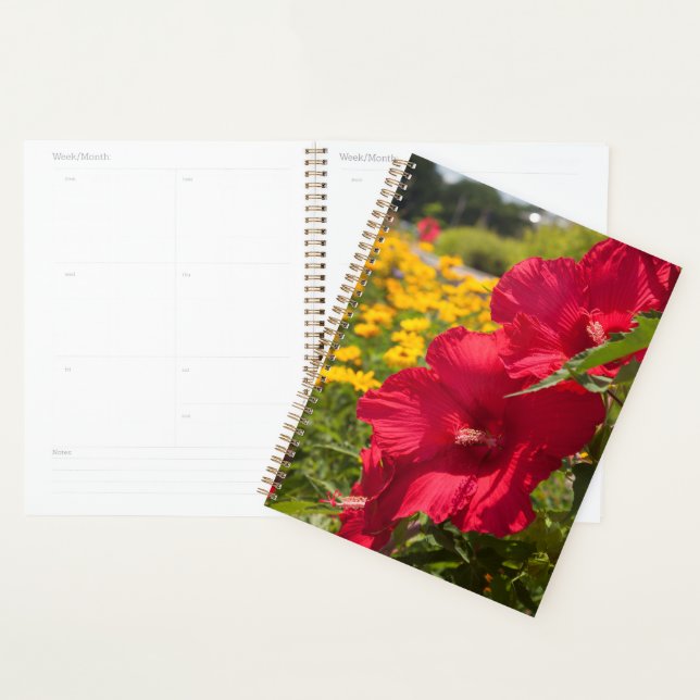 Hibiscus rouge (Devant avec enveloppe)