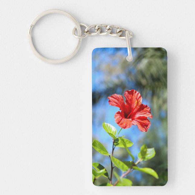 Hibiscus rouge (Devant)