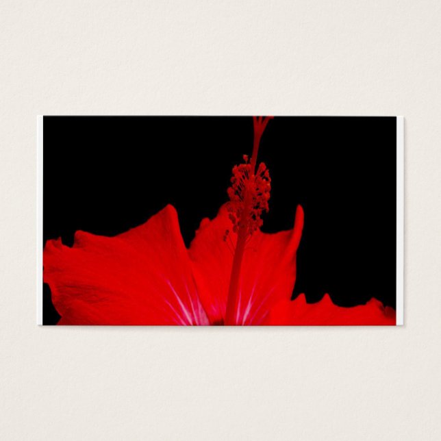 Hibiscus rouge (Devant)