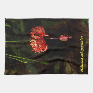 Hibiscus schizopetalus - Japanese Lantern Kitchen Towel