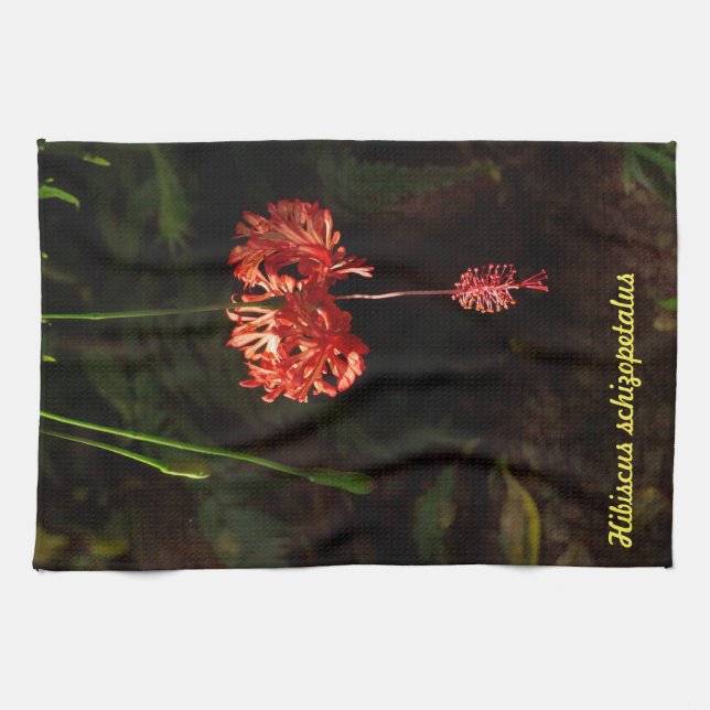 Hibiscus schizopetalus - Japanese Lantern Kitchen Towel (Horizontal)