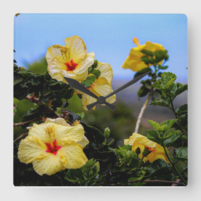 HIbiscus square Maui wall clock (Front)