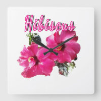 Hibiscus