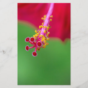 hibiscus stationery