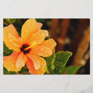 Hibiscus Stationery