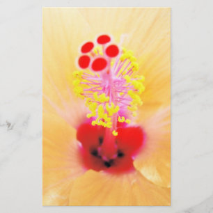 Hibiscus Stationery