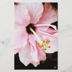 Hibiscus Stationery