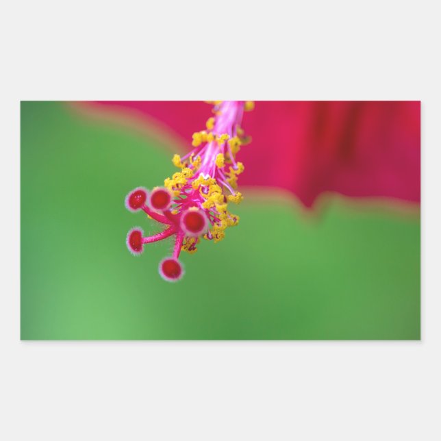 hibiscus sticker (Front)