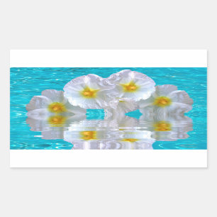 Hibiscus Sticker