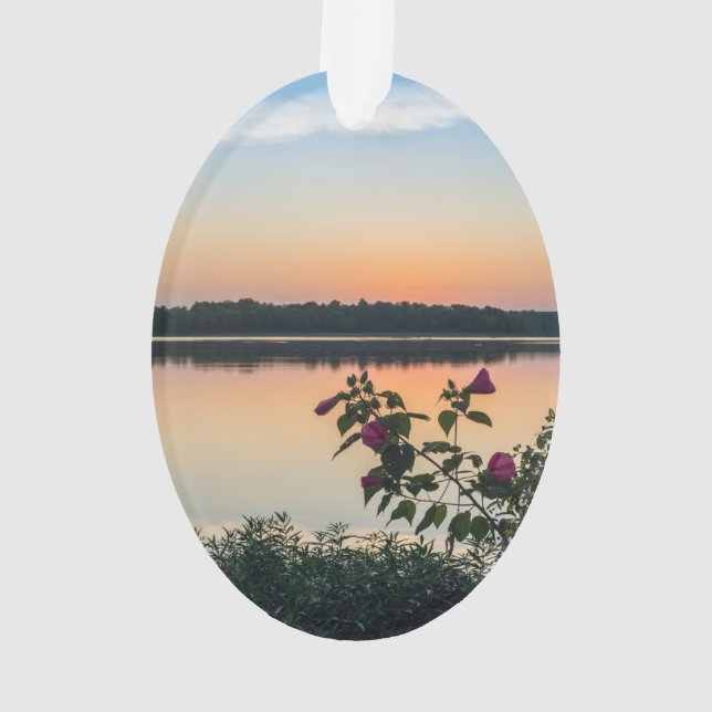 Hibiscus Sunrise Ornament (Back)