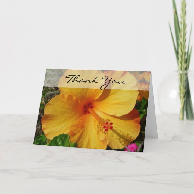 Hibiscus - Thank You Card (Front)