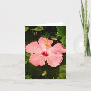 Hibiscus - V Card