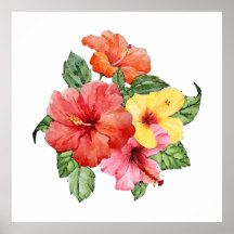 Hibiscus watercolor
