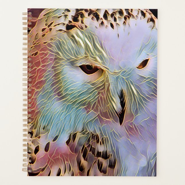 HIBOU (Devant)