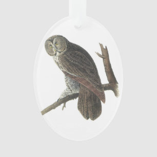 Hibou de grand gris par Audubon