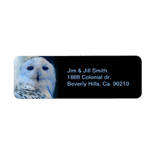 Hibou de neige observé par bleu