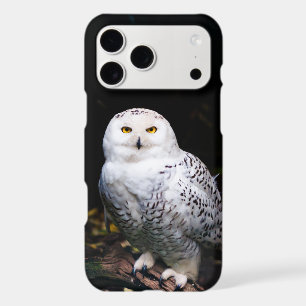 Hibou des neiges majestueux d'hiver
