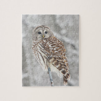 Hibou été perché - puzzle