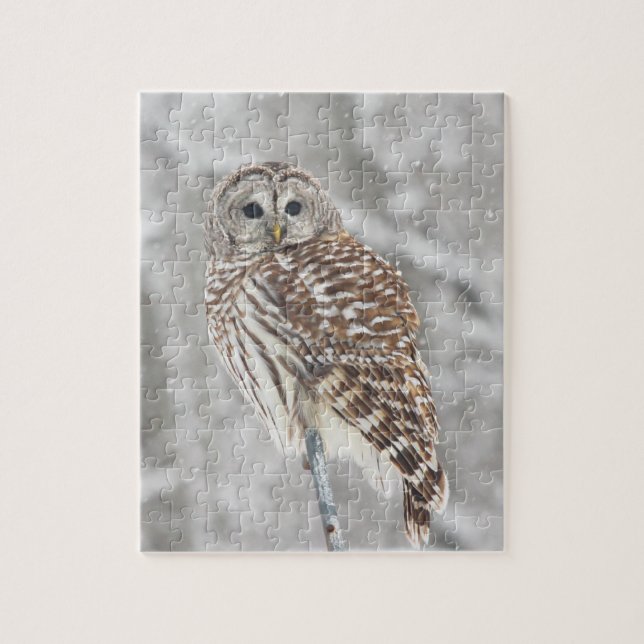 Hibou été perché - puzzle (Vertical)