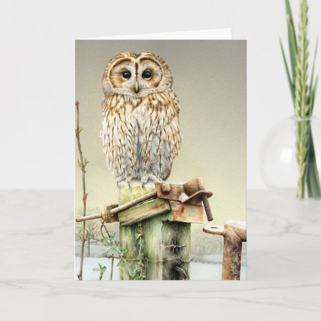 Hibou fauve dans la carte de beaux-arts de neige (Devant)