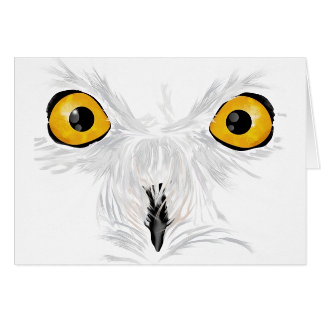 Hibou neigeux fixant (Devant horizontal)