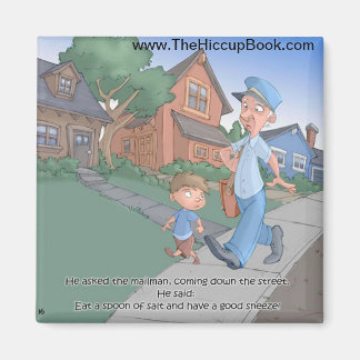 Hiccup Book magnet - The Mailman