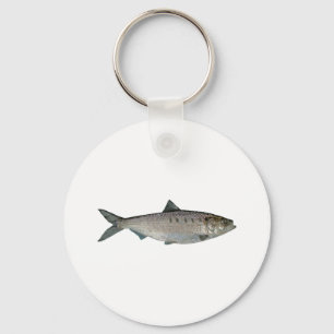 Hickory Shad Watercolor Keychain