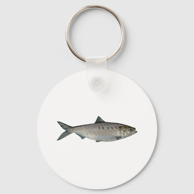 Hickory Shad Watercolor Keychain (Front)