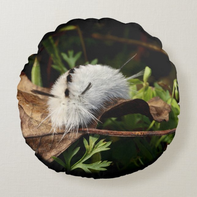 Hickory Tussock Moth Round Pillow (Front)