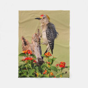 Hidalgo County, Texas. Golden-fronted Woodpecker Fleece Blanket