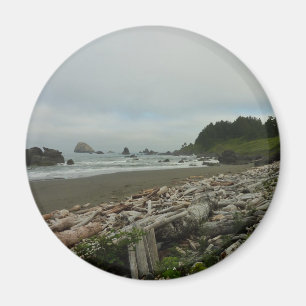 Hidden Beach I at Redwood National Park Magnet