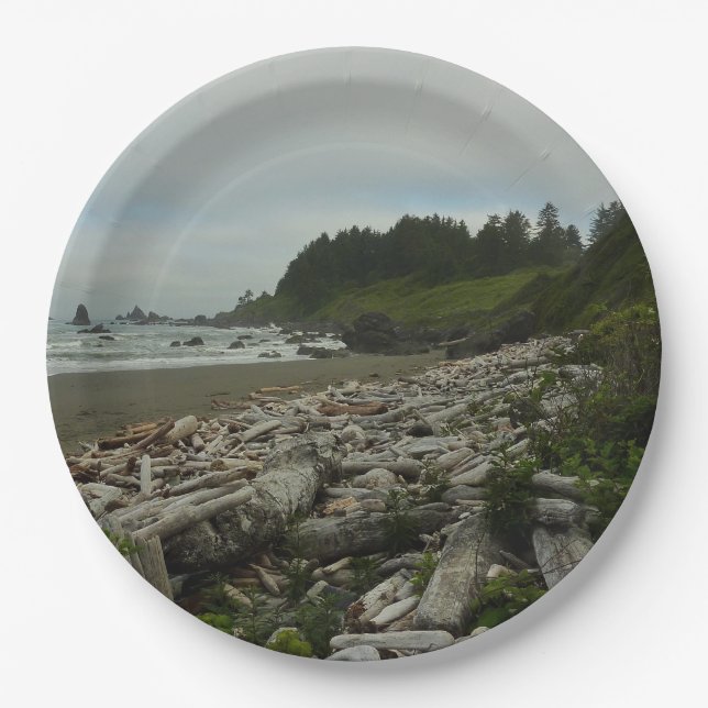 Hidden Beach I at Redwood National Park Paper Plate (Front)