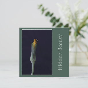 Hidden Beauty, Elegant Single Flower, Green Yellow Card