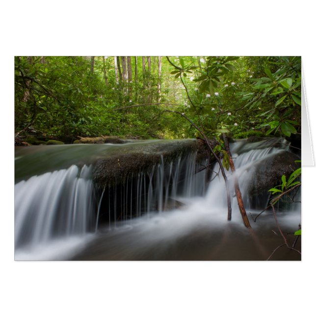 Hidden Falls Card (Front Horizontal)