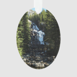 Hidden Falls dans le parc national du Grand Teton