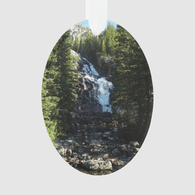 Hidden Falls dans le parc national du Grand Teton (devant)
