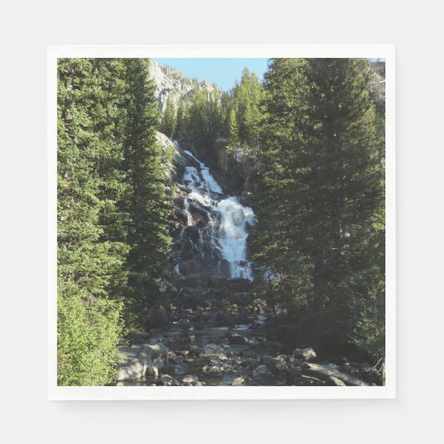 Hidden Falls in Grand Teton National Park Napkin (Front)