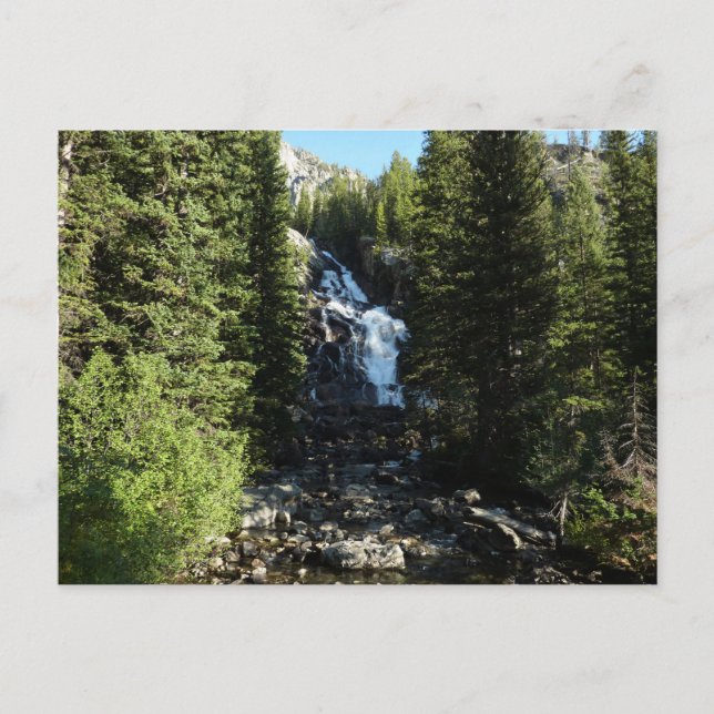 Hidden Falls in Grand Teton National Park Postcard (Front)