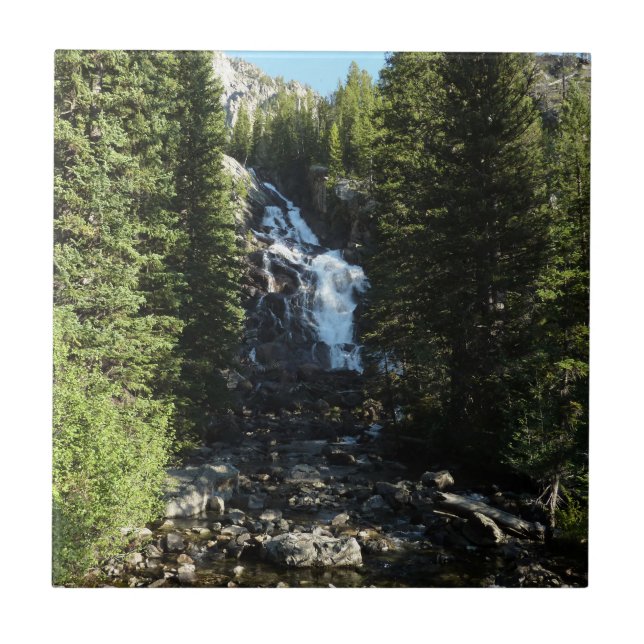Hidden Falls in Grand Teton National Park Tile (Front)