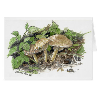 Hidden Mushrooms