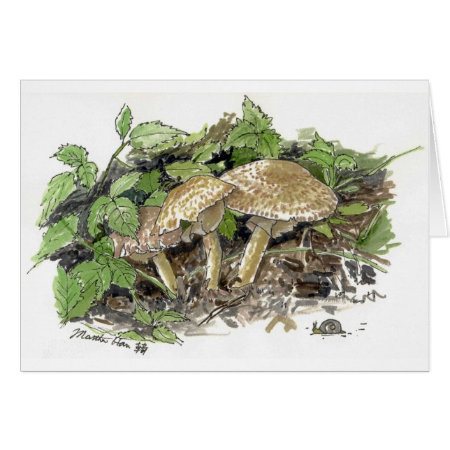 Hidden Mushrooms (Front Horizontal)