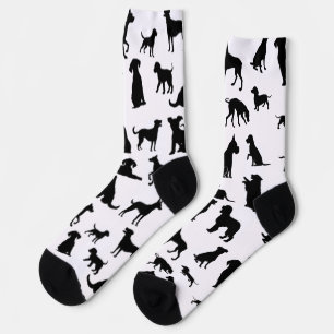 Hidden Paws Socks