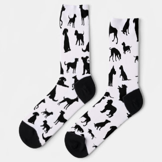 Hidden Paws Socks